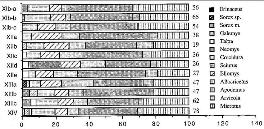 Representación Gráfica De Los Porcentajes De Las Distintas (850x417), Png Download