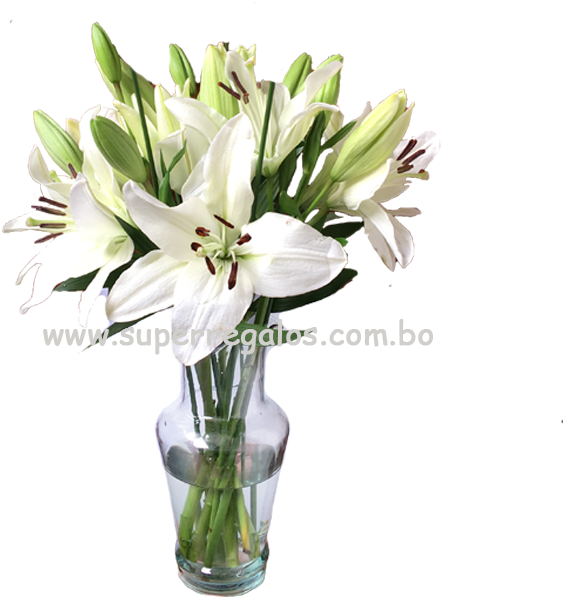 Cumpleaños (720x660), Png Download