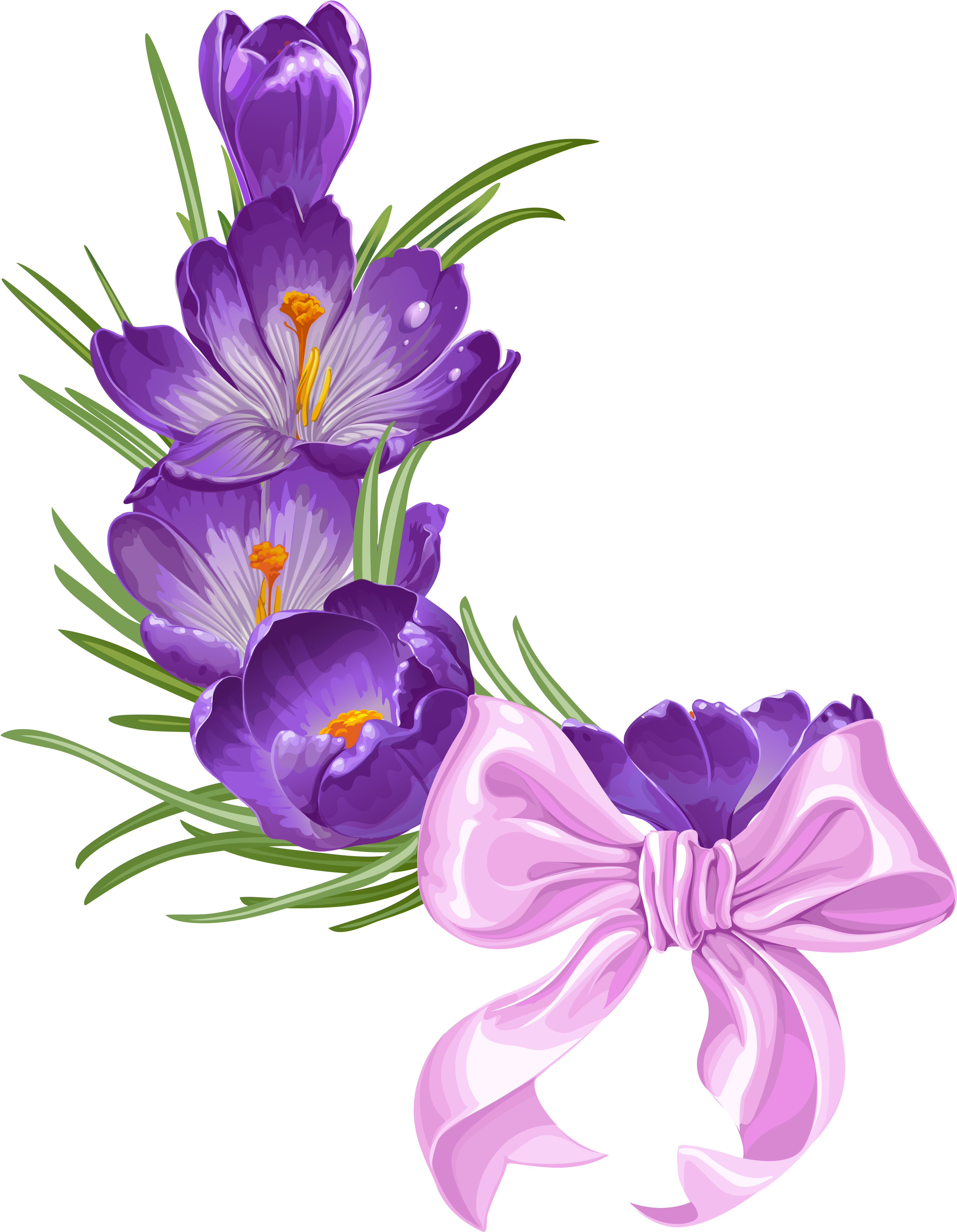 F C Bd Orig Zestawy Do (3420x4173), Png Download