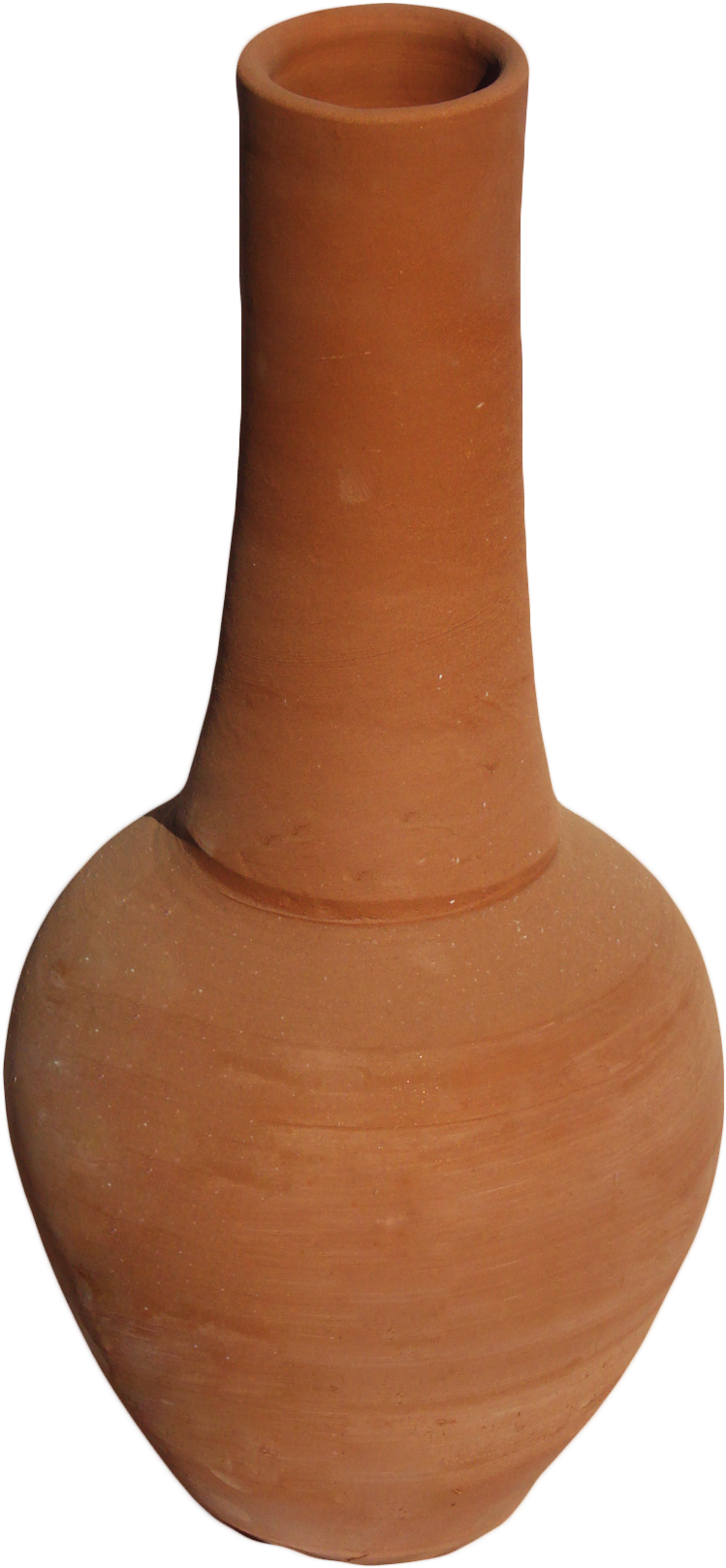 Florero2 (810x1671), Png Download