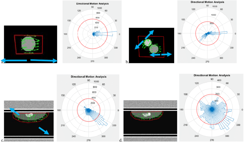 The Main Movement Of Each Shape Is Shown By The Big (850x462), Png Download