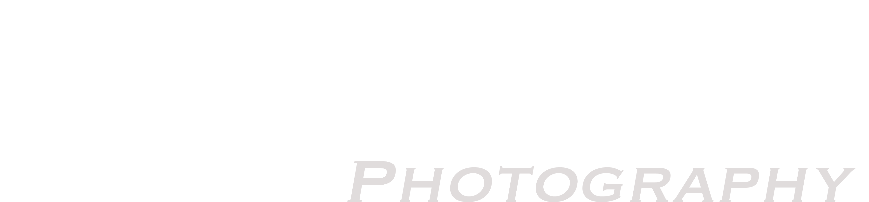 Before The Storm (3752x942), Png Download