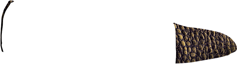 Fantasia-cocodrilo Chocolate (860x400), Png Download