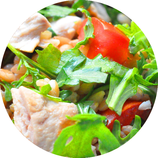 Pollo (600x600), Png Download