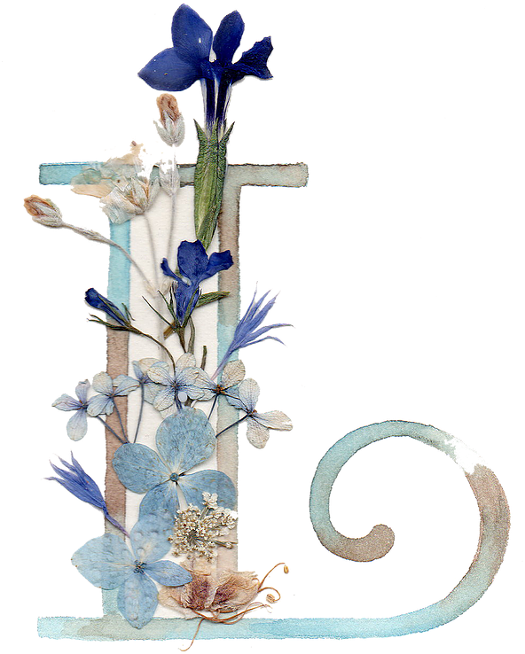 Acuarela Sobre Papel Y Flores Naturales Prensadas Cm (598x818), Png Download