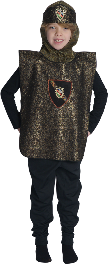 Boy Wearing Knight Costume Dress Up With Gold Shield, (1024x1024), Png Download