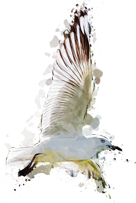 Click And Drag To Re-position The Image, If Desired (472x700), Png Download