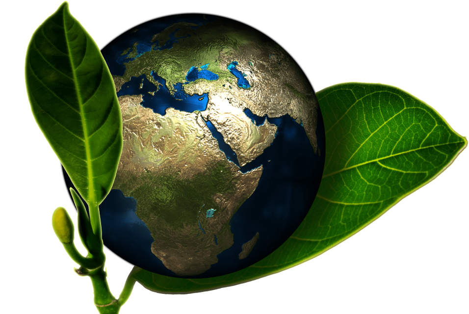 How To Go Green With Your Septic System (1080x675), Png Download