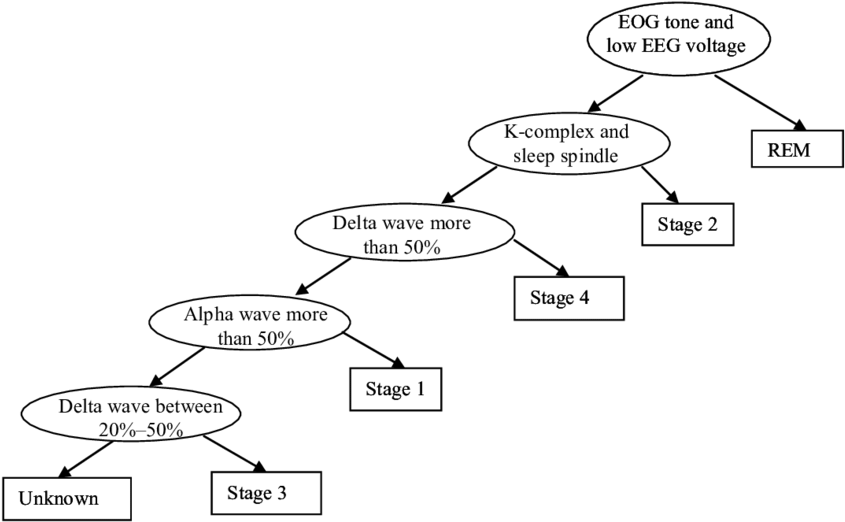 Decision Tree Generated From The Rules Given By The (850x530), Png Download