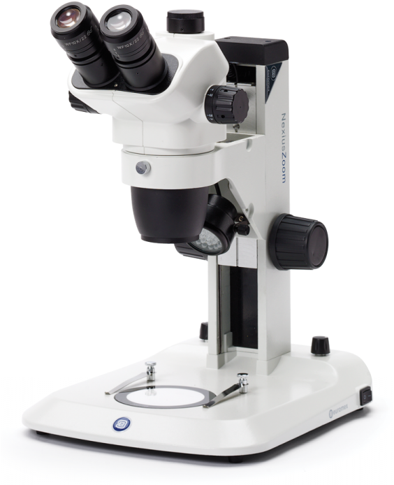 Nz - 1903-s (563x750), Png Download