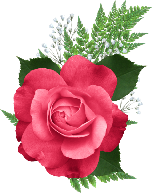 Http - //lh4 - Ggpht - Com/ - Mayo Mes De La Madre (627x800), Png Download