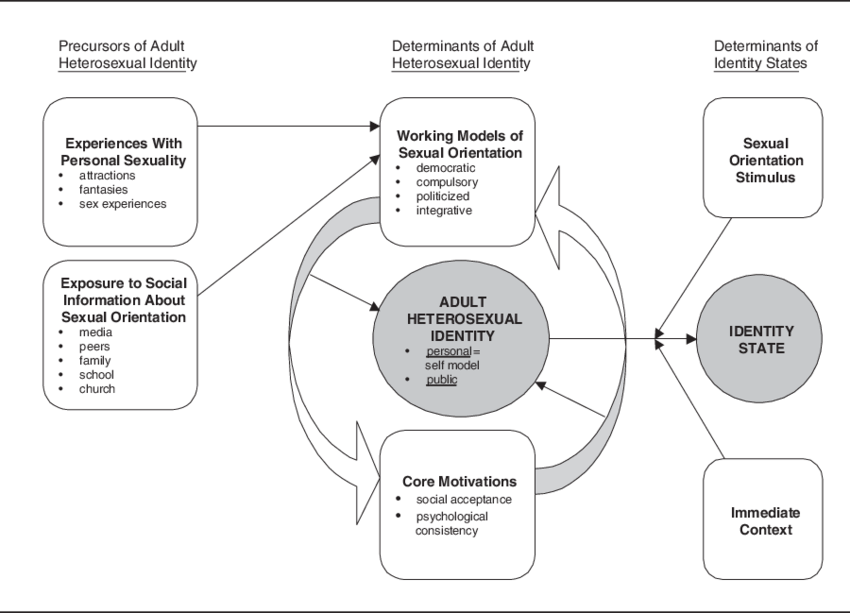 Components Of The Proposed Model Of Adult Heterosexual (850x613), Png Download