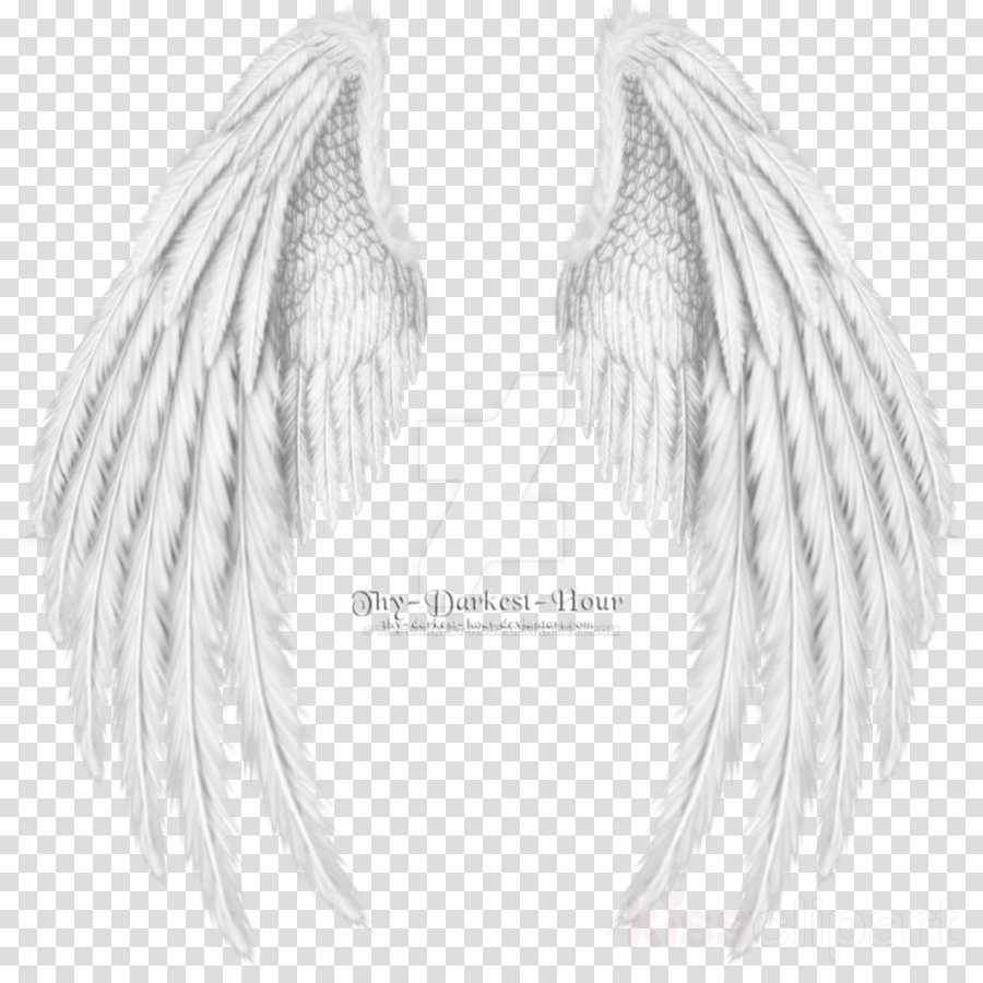 Gold Wings Png Clipart Clip Art (900x900), Png Download