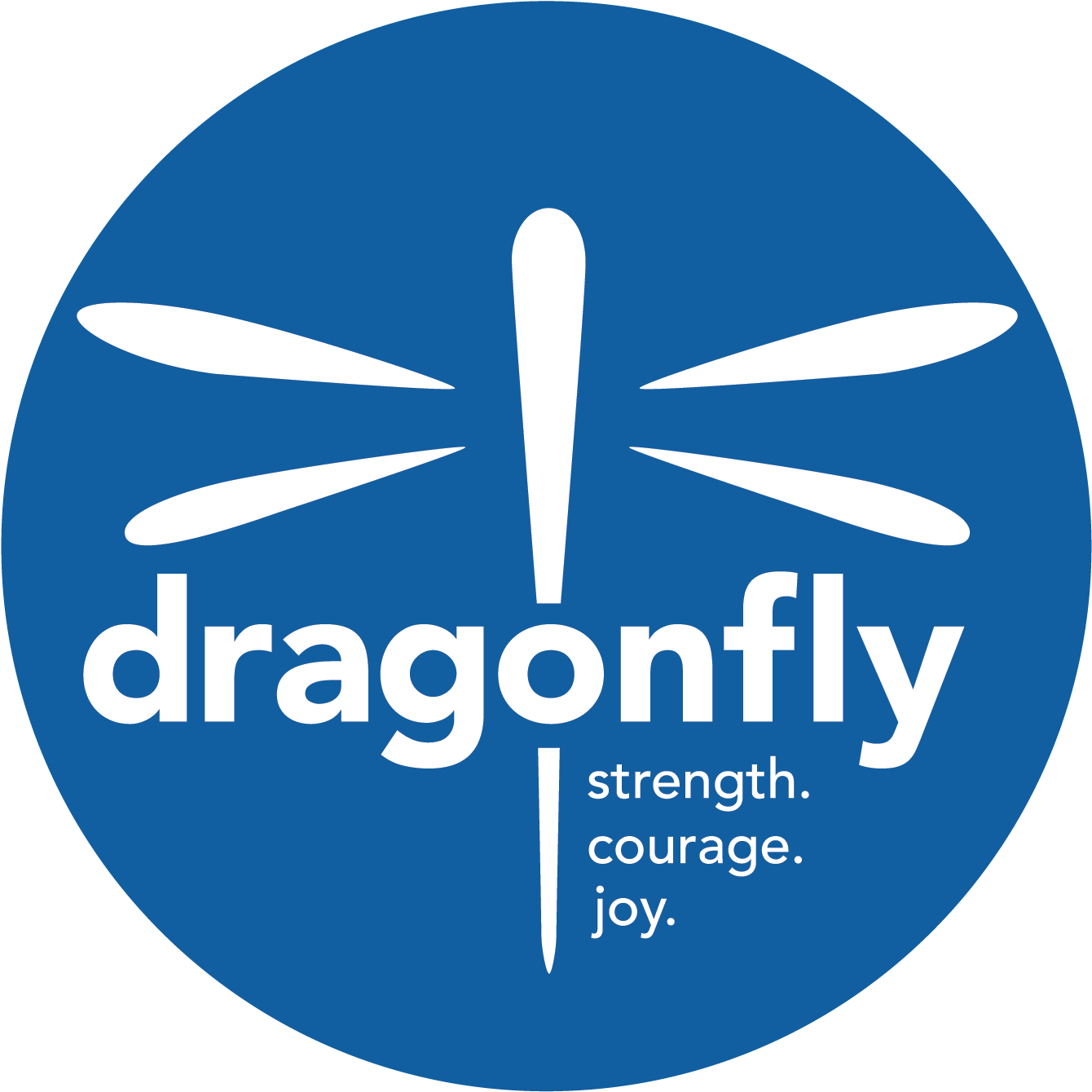 Dragonfly's 2nd Annual Motorcycle Ride Is Being Held (1513x1512), Png Download