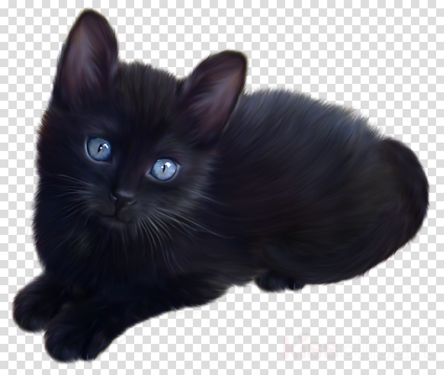 Black Cat Png Clipart Bombay Cat British Shorthair (900x760), Png Download