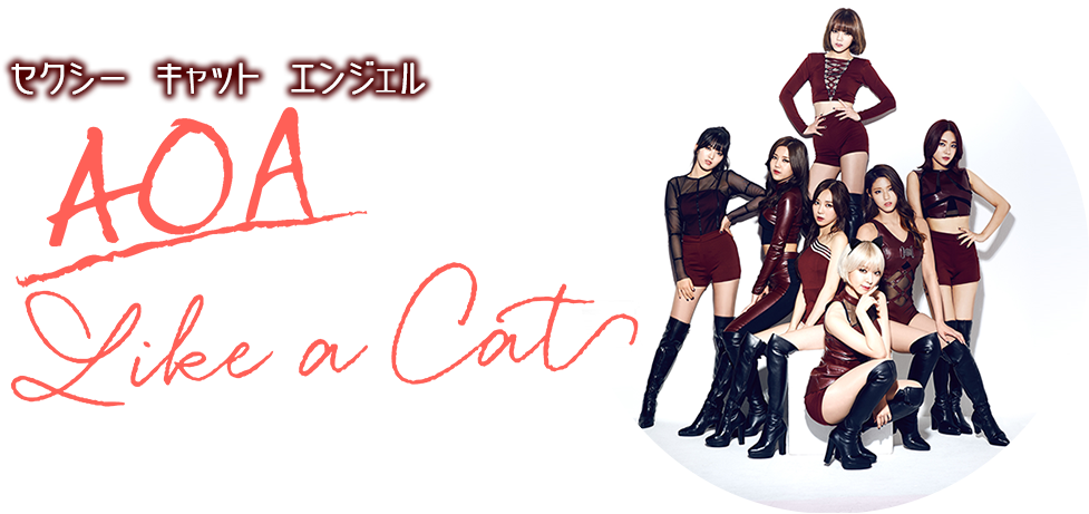 セクシーキャットエンジェル Aoa｢like A Cat｣ (1000x475), Png Download