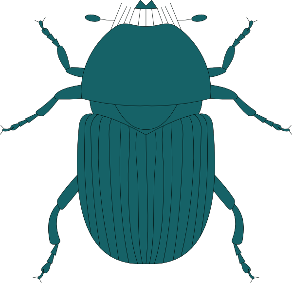 Green Beetle (600x582), Png Download