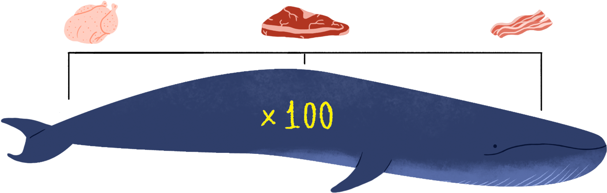 100 Blue Whales (1462x440), Png Download