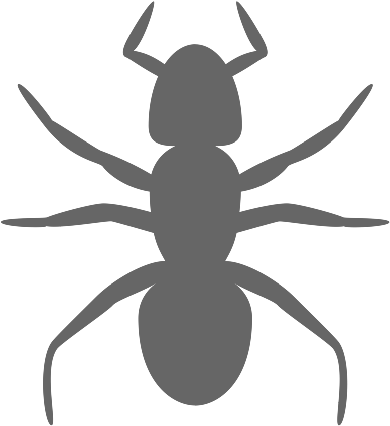 Urban (958x958), Png Download