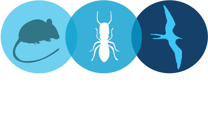 Diamond Valley Termite And Pest Control (730x464), Png Download