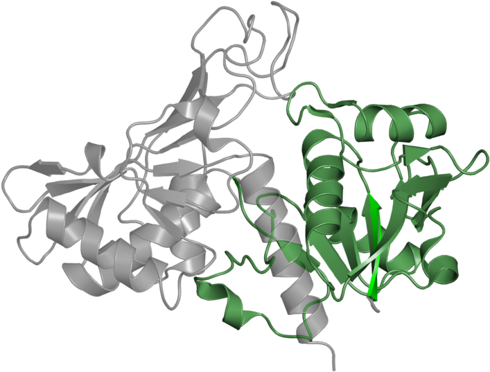 <div Class='caption-body'>1 Copy Of Pfam Domain (800x800), Png Download