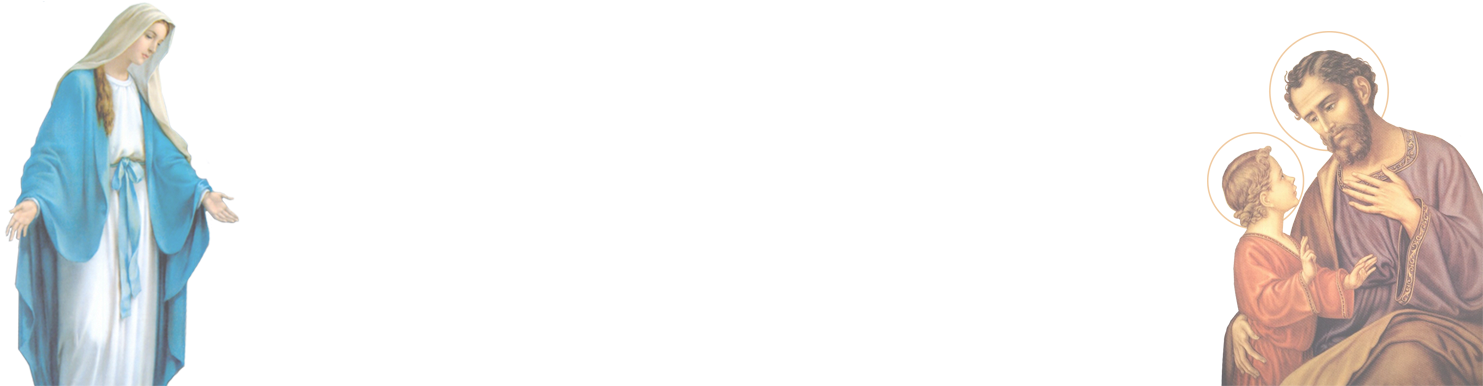 Middle Background (1556x389), Png Download
