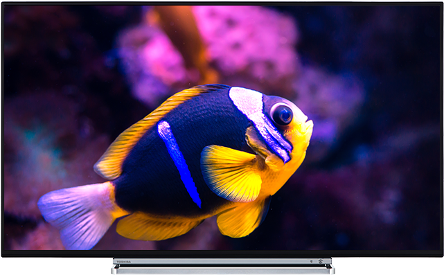 65" Toshiba Ultra Hd Tv Front (640x640), Png Download