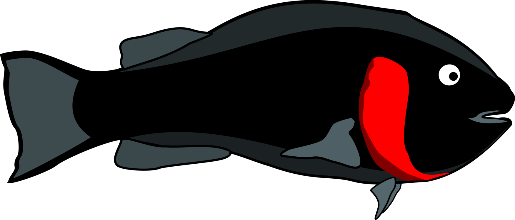 Fishing Swordfish Dolphin Silhouette (1751x750), Png Download