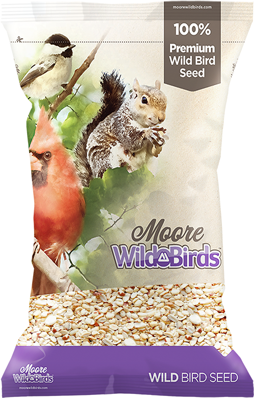 Shelled Peanuts (523x800), Png Download