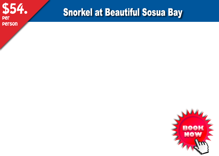 Booknowbutton - Snorkel (700x500), Png Download