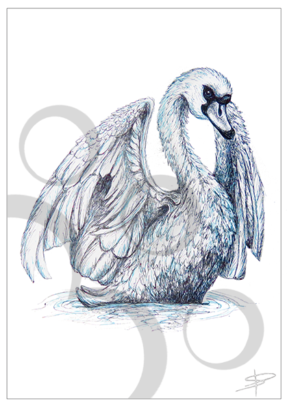 Swan Inkling (591x591), Png Download