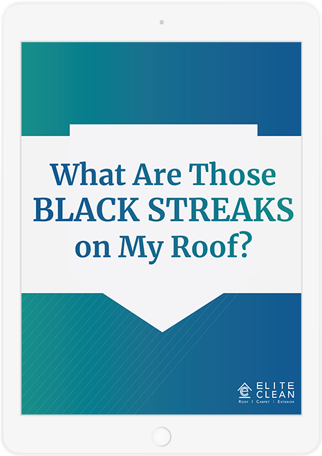 Black Streaks On Your Roof (800x800), Png Download