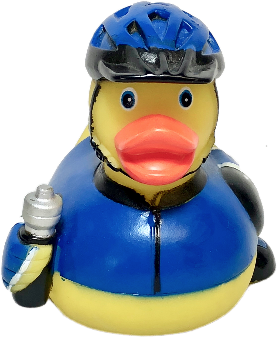 Baby Duck Png (1280x1280), Png Download