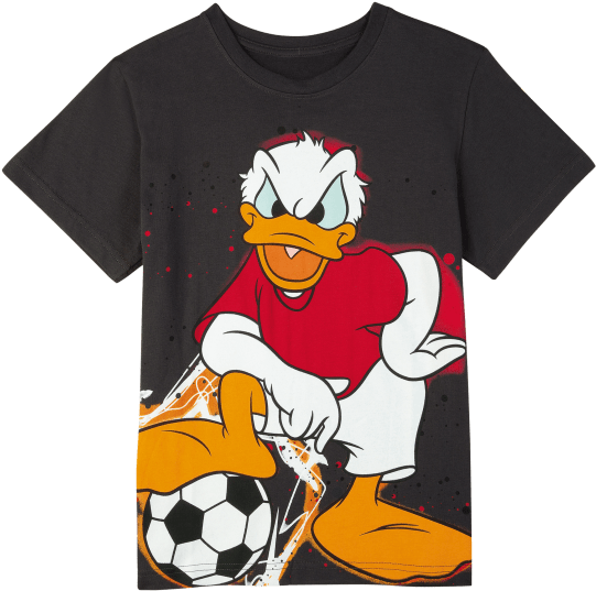 Baby Duck Png (660x660), Png Download