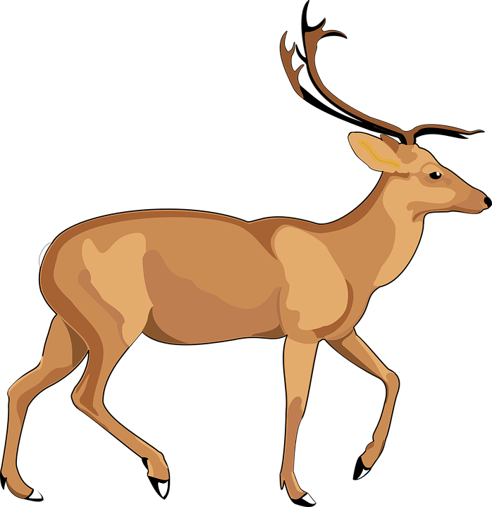 Elk Png (698x720), Png Download