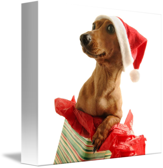 Dog Santa Hat (630x650), Png Download