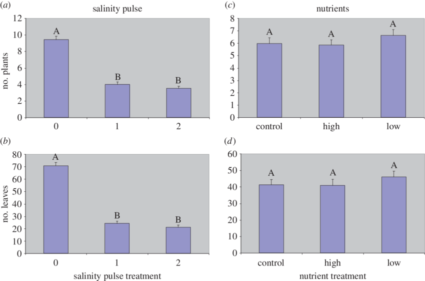 Mean Number Of Plants (a,c) And Leaves (b,d) Per Pot (850x561), Png Download