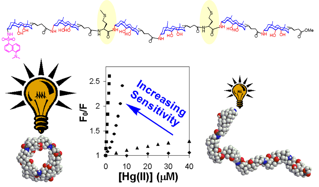 Membrane Transporters And Nanopores (1051x616), Png Download