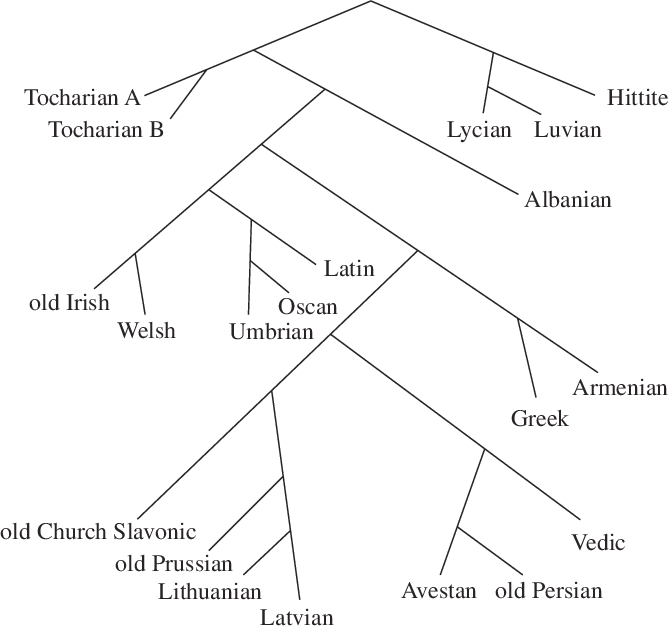 'one Of The Best Trees With Germanic Omitted' (669x629), Png Download