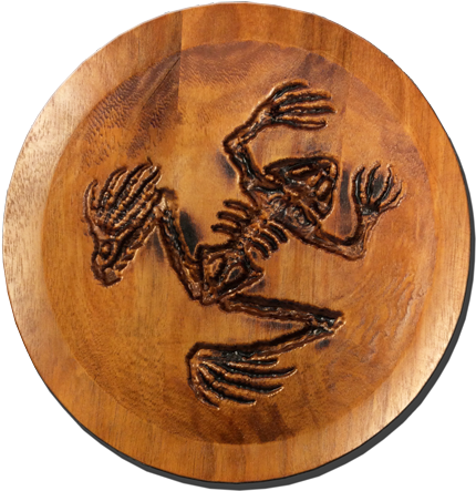 Bone Frog Carved Wooden Circle Dish In Torched Mahogany (640x640), Png Download