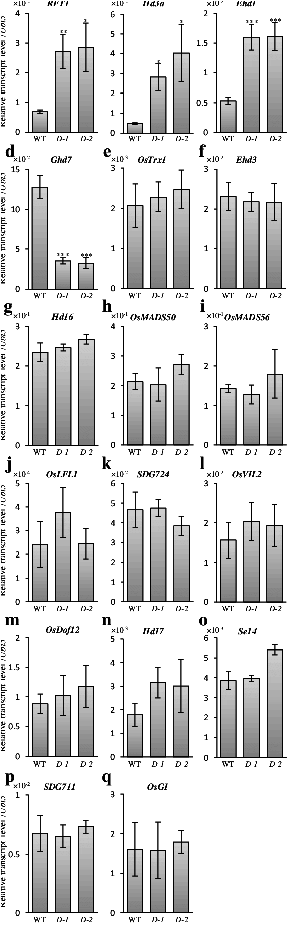 Expression Of Floral Regulators In Activation Tagging (579x1850), Png Download