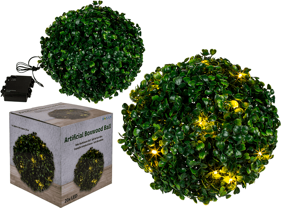 Boxwood Png (945x709), Png Download