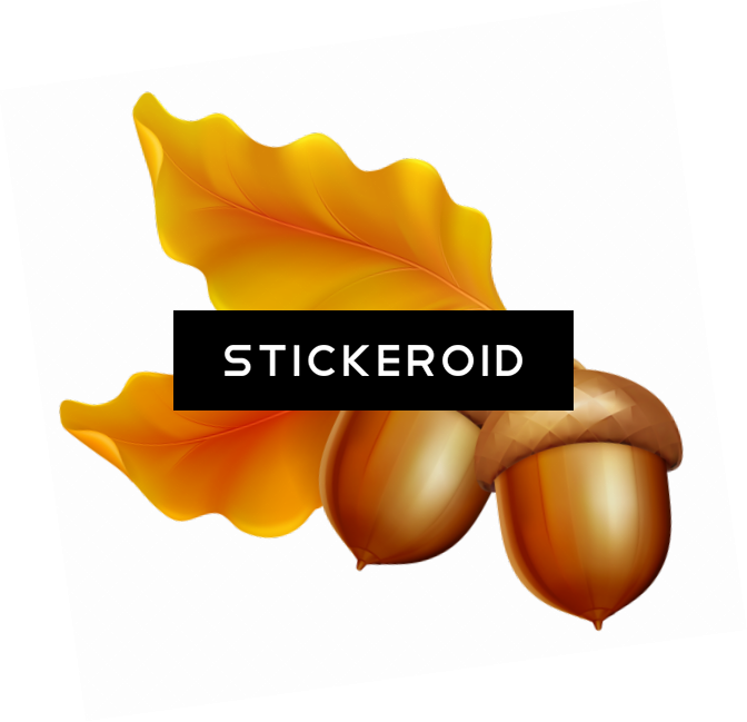 Acorn Nature (672x649), Png Download