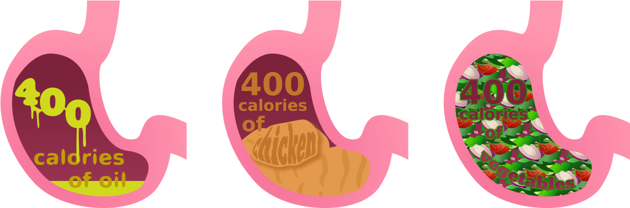 Full Stomach Cliparts - Oil In Stomach Vs Vegetables (1283x423), Png Download