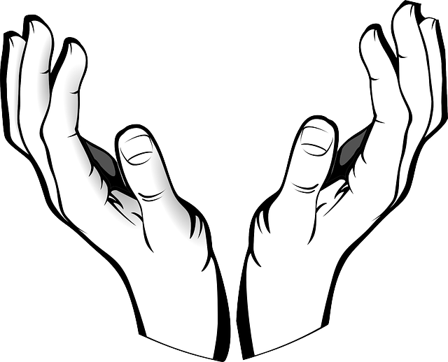 Png Download Open Of God Panda Free Images Openhandsofgod - Two Hands Clipart Png (640x518), Png Download