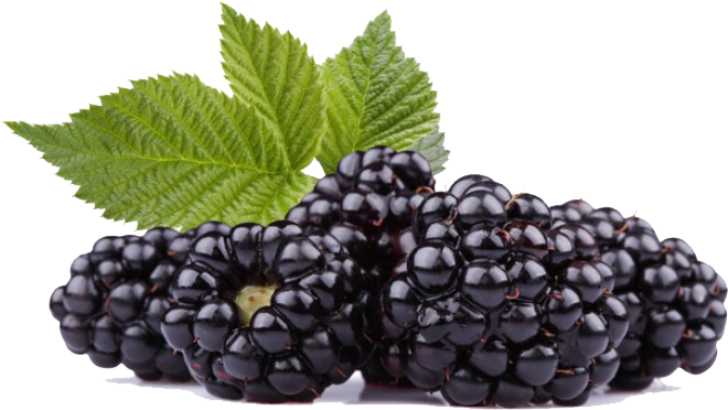 Black Raspberries Png Hd - Dinner Lady Blackberry Crumble (765x510), Png Download
