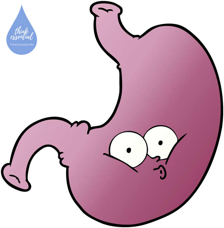 A Visit From The Bug Thinking Essential - Estomago Malo Caricatura (800x800), Png Download