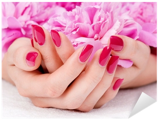 Woman Cupped Hands With Manicure Holding A Pink Flower - Classic Manicure And Pedicure (400x400), Png Download