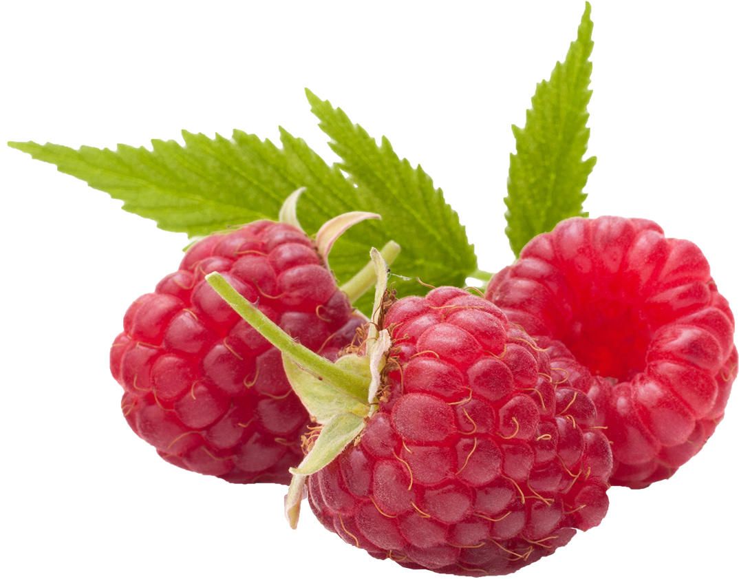 Wrapper Raspberries - Fruit + Chia Bar | Raspberry | 0.88 Oz | Zego (1181x1064), Png Download