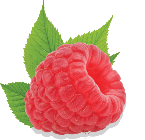 Raspberry - Hindbær Png (600x577), Png Download